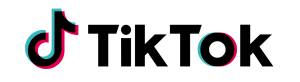 Tik Tok 2024 logo